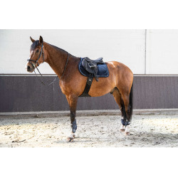 Tapis de selle Lami-Cell V22 Picasso Tapis de selle Lami-Cell V22 Picasso