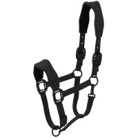 Halster Lamicell V22