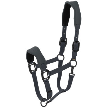 Halster Lamicell V22