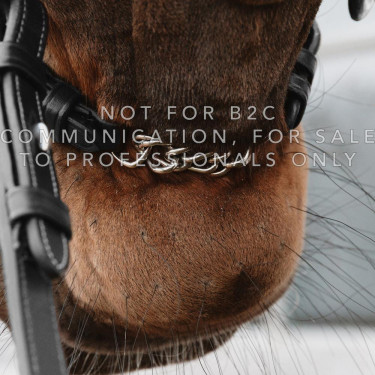Muserolle équitation Dy'on avec chaîne – Dressage