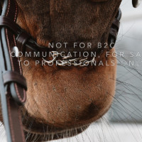 Muserolle équitation Dy'on avec chaîne – Dressage