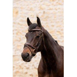 Bridon K by Equithème K-Kontour