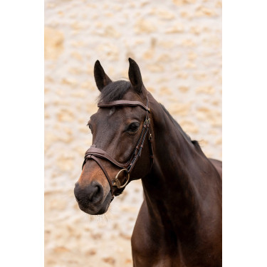 Hoofdstel K van Equithème K-Kontour Hoofdstel K van Equithème K-Kontour