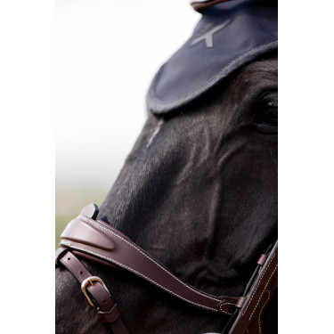 Hoofdstel K van Equithème K-Kontour Hoofdstel K van Equithème K-Kontour