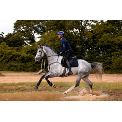 Hoofdstel K van Equithème K-Kontour Hoofdstel K van Equithème K-Kontour