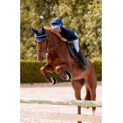 Hoofdstel K by Equithème K-Kapture Bruin