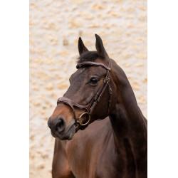 Hoofdstel K van EQUITHÈME - K-KADENCE