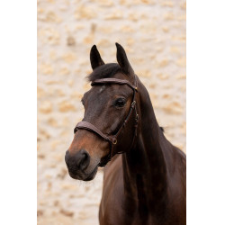 Bridon K by Equithème K-Konnect
