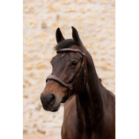 Hoofdstel K van Equithème K-Konnect