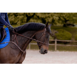 Hoofdstel K van Equithème K-Konnect Hoofdstel K van Equithème K-Konnect