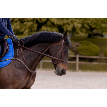 Hoofdstel K van Equithème K-Konnect Hoofdstel K van Equithème K-Konnect