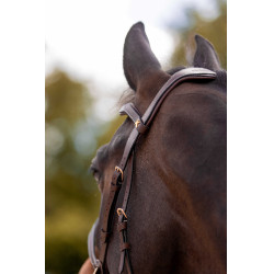 Hoofdstel K van Equithème K-Konnect Hoofdstel K van Equithème K-Konnect
