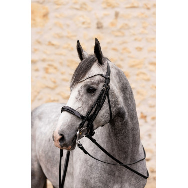 Rênes K by Equithème K-Link