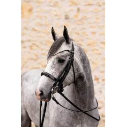Teugels K by Equithème K-Link