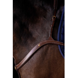 Borsttuig 3-punts K by Equithème K-Kontour Borsttuig 3-punts K by Equithème K-Kontour