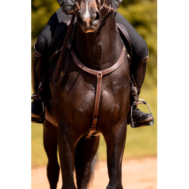 Borsttuig 3-punts K by Equithème K-Kontour Borsttuig 3-punts K by Equithème K-Kontour