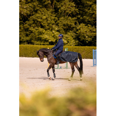 Nierstuk K van Equithème K-Embrun Nierstuk K van Equithème K-Embrun