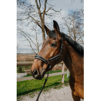 Halster + touw Equithème Coco Zwart