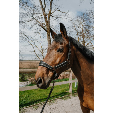 Halster + touw Equithème Coco