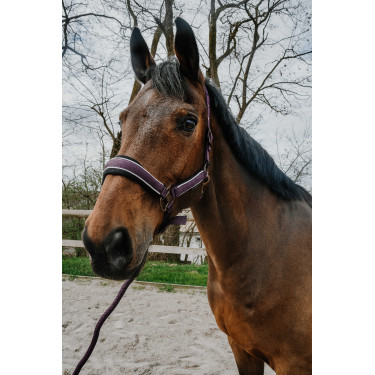 Halster + touw Equithème Coco