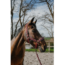 Halster + touw Equithème Coco