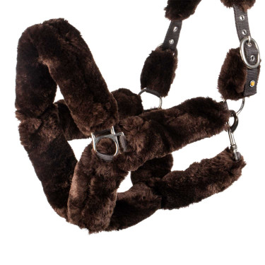 Licol en polypropylène Equestro doublé en mouton synthétique Chocolat / marron Licol en polypropylène Equestro doublé en mouton synthétique Chocolat / marron