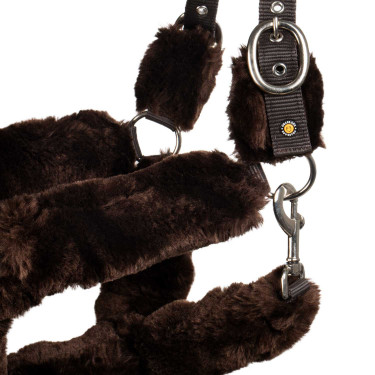 Licol en polypropylène Equestro doublé en mouton synthétique Chocolat / marron Licol en polypropylène Equestro doublé en mouton synthétique Chocolat / marron