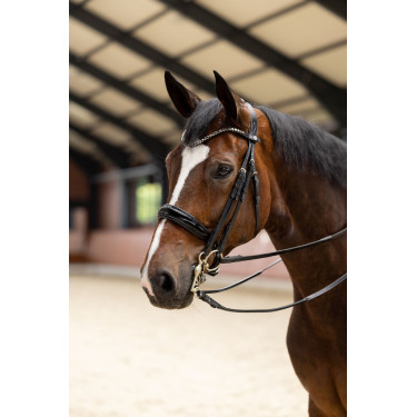 Bride Glamourdale Weymouth Horze Noir
