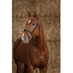 Bridon Norton Pro Parel