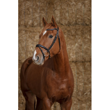 Bridon Norton Pro Parel