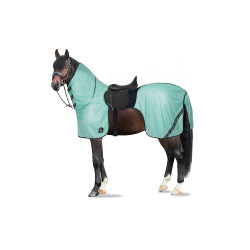 Vliegendeken voor paardrijden Horze Paso Fino met afneembare halsbedekking en UV-bescherming Groene beek
