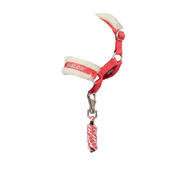 Licol et longe Toy Pony Harlow Coral Crush – équitation Licol et longe Toy Pony Harlow Coral Crush – équitation