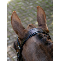 Arika Split Neusriem Hoofdstel LeMieux Bruin / zilver
