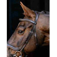 Arika Split Neusriem Hoofdstel LeMieux Bruin / zilver