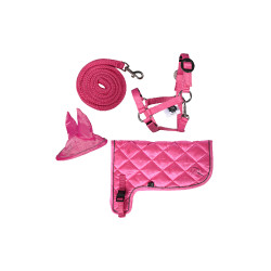 Neonset voor Hobby Horse – HKM Kids paardrijset