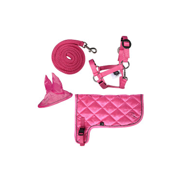 Neonset voor Hobby Horse – HKM Kids paardrijset