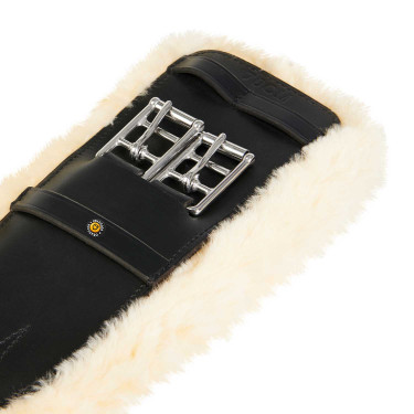 Leder dressuursingel Equestro Zwart