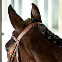 Filet Constance Horze Bruin Filet Constance Horze Bruin