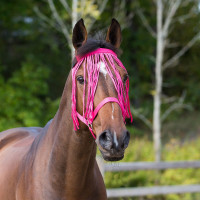 Frontal chasse-mouches Horze Framboise Rouge