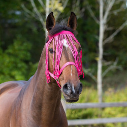 Frontal chasse-mouches Horze Framboise Rouge