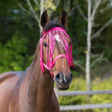 Frontal chasse-mouches Horze Framboise Rouge
