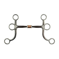 Mors western Pool’s inox tiges cuivre plates