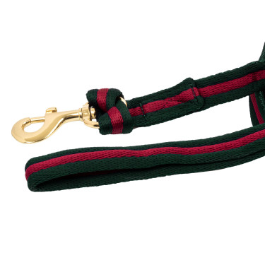 Nylon longeerlijn met voering, bevestigbaar aan het halster Umbria Equitazione Jachtgroen / bordeaux
