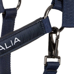 Equestro x FISE halsters, gevoerd en verstelbaar Marineblazer Marineblauw Equestro x FISE halsters, gevoerd en verstelbaar Marineblazer Marineblauw
