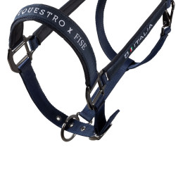 Equestro x FISE halsters, gevoerd en verstelbaar Marineblazer Marineblauw