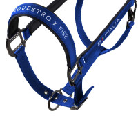 Licol Equestro x FISE doublé et réglable Bleu de savoie Licol Equestro x FISE doublé et réglable Bleu de savoie