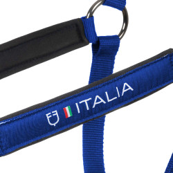Equestro x FISE halsters, gevoerd en verstelbaar Blauw van Savoye