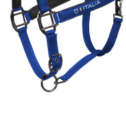 Licol Equestro x FISE doublé et réglable Bleu de savoie Licol Equestro x FISE doublé et réglable Bleu de savoie