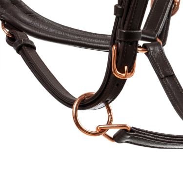 Licol en cuir lisse Equestro boucles rose gold Marron foncé