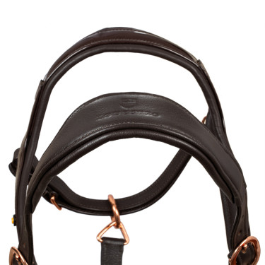 Licol en cuir lisse Equestro boucles rose gold Marron foncé